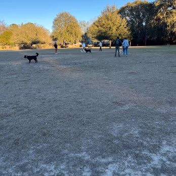Squirrel Ridge Dog Park photo 1